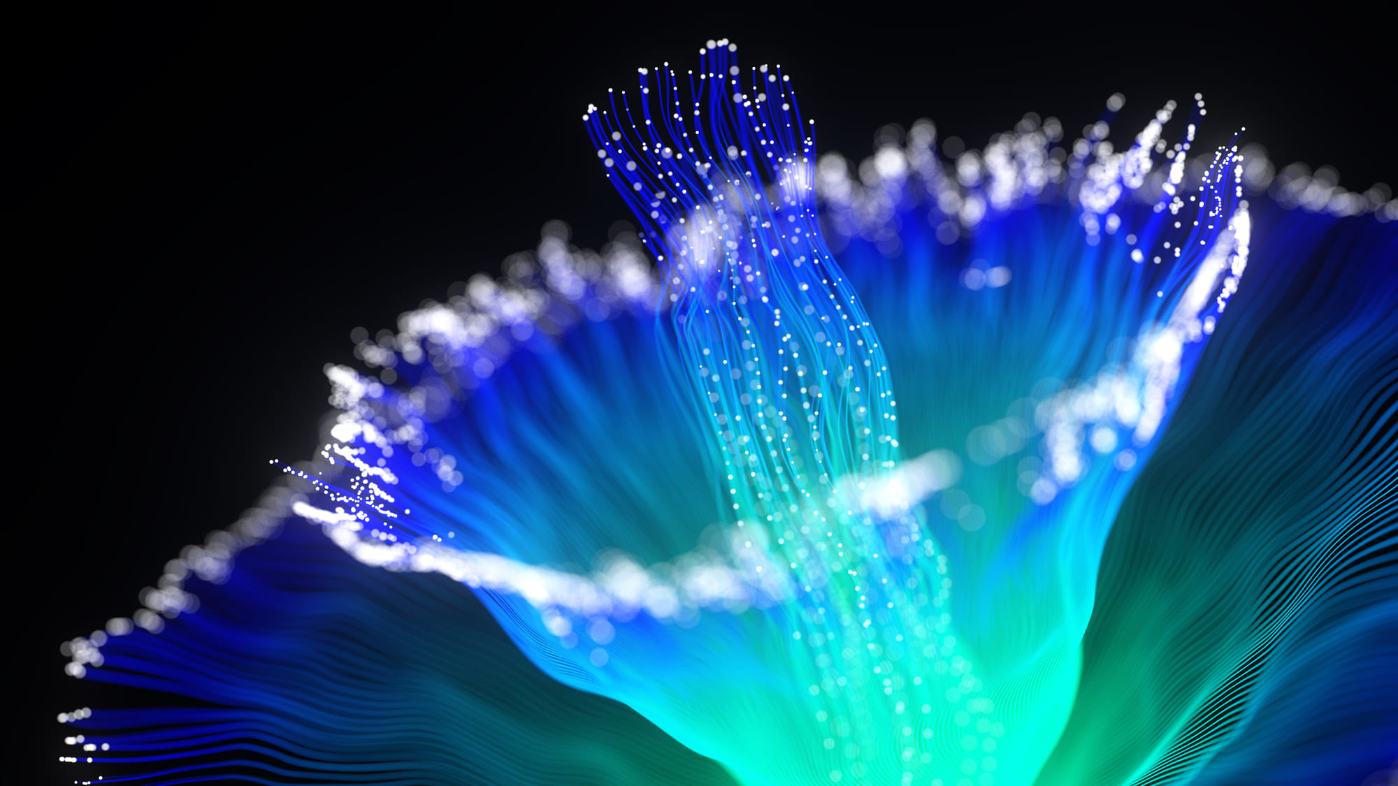 FAQs background image